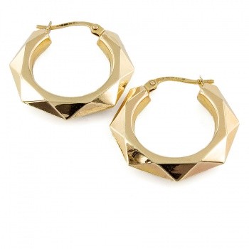 9ct gold 2.6g Hoop Earrings